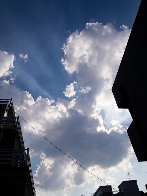 OLYMPUS DIGITAL CAMERA
